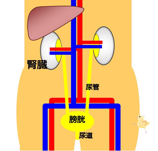 ファイル:04348.jpg