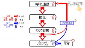 /wiki/images/thumb/f/f6/DecPhResponse.jpg/300px-DecPhResponse.jpg
