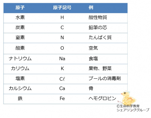 原子の種類.jpg