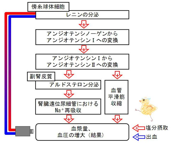 ファイル:00722.jpg