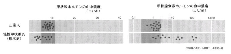 ファイル:00774.jpg