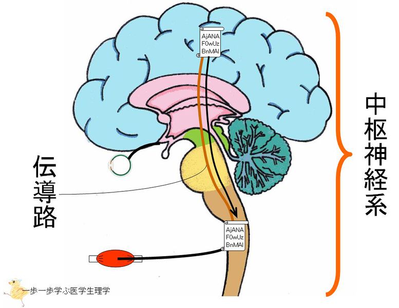 ファイル:01390.jpg