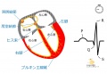 2015年2月25日 (水) 11:28時点における版のサムネイル