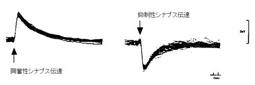 00254.jpg