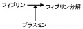 00510.jpg