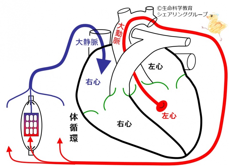 ファイル:01706.jpg