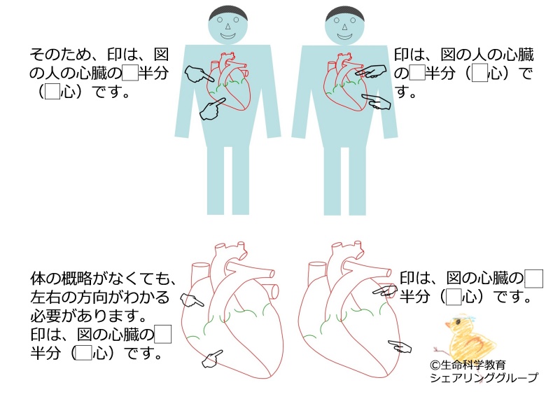 ファイル:04615-wb.jpg