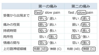 /wiki/images/thumb/f/f8/PainSummaryBasic-Jpn.jpg/400px-PainSummaryBasic-Jpn.jpg