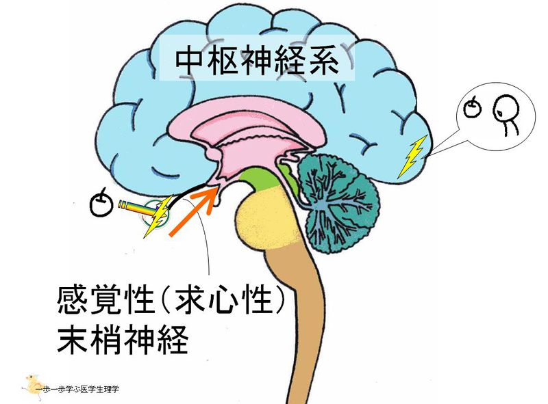 ファイル:01397.jpg