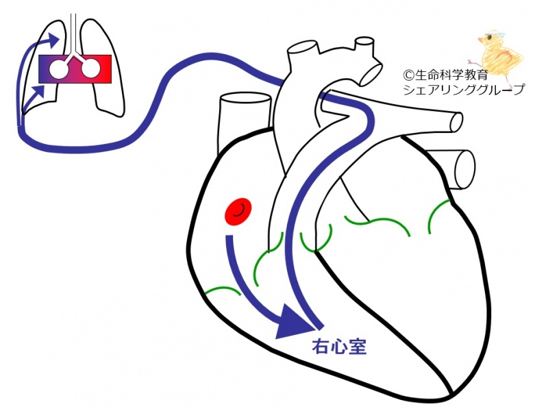 ファイル:01719-wb.jpg