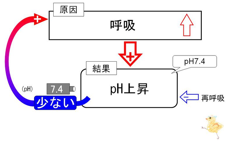 ファイル:02210.jpg