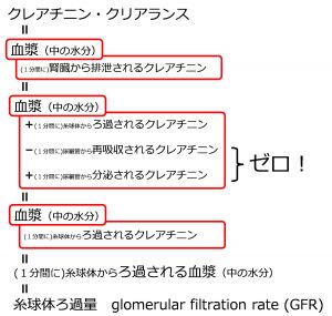 /wiki/images/thumb/f/f9/CreatinineClearanceIndicatesGFR.jpg/300px-CreatinineClearanceIndicatesGFR.jpg