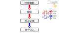 2021年3月17日 (水) 14:11時点における版のサムネイル