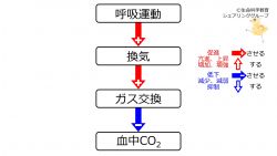/wiki/images/thumb/f/f9/VentCO2.jpg/250px-VentCO2.jpg