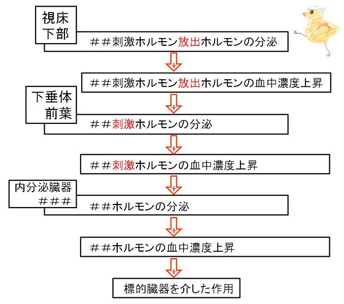 ファイル:02533.jpg