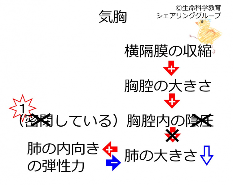 ファイル:03684.jpg