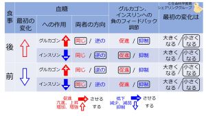/wiki/images/thumb/f/fa/InsulinGlucagonNegFB-BasicTable-Jpn.jpg/300px-InsulinGlucagonNegFB-BasicTable-Jpn.jpg