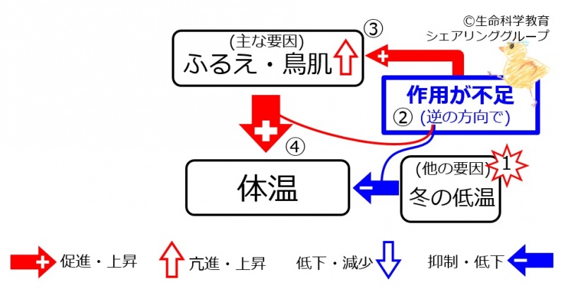 ファイル:Shivering-winter.jpg