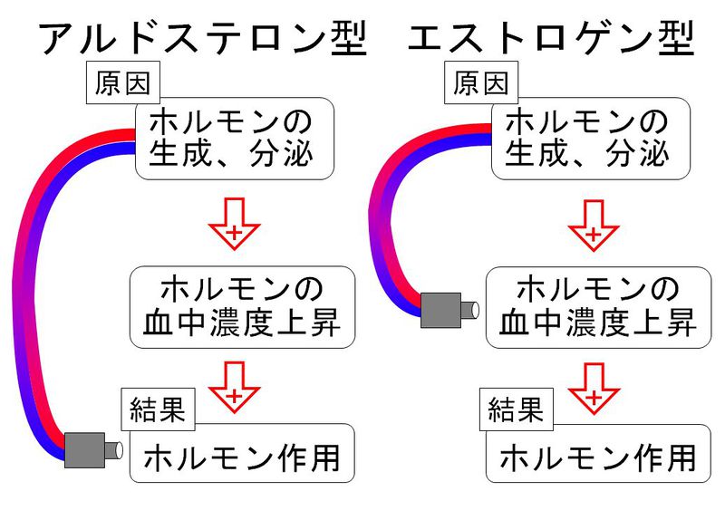 ファイル:02186.jpg