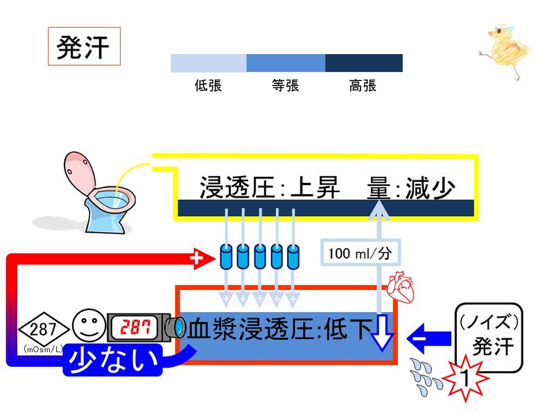 ファイル:03938.jpg
