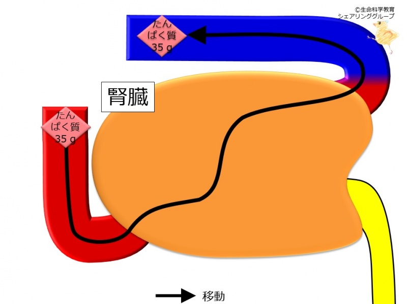 ファイル:04352.jpg