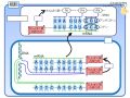 2024年10月11日 (金) 09:48時点における版のサムネイル