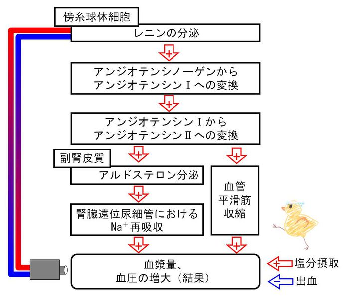 ファイル:02487.jpg
