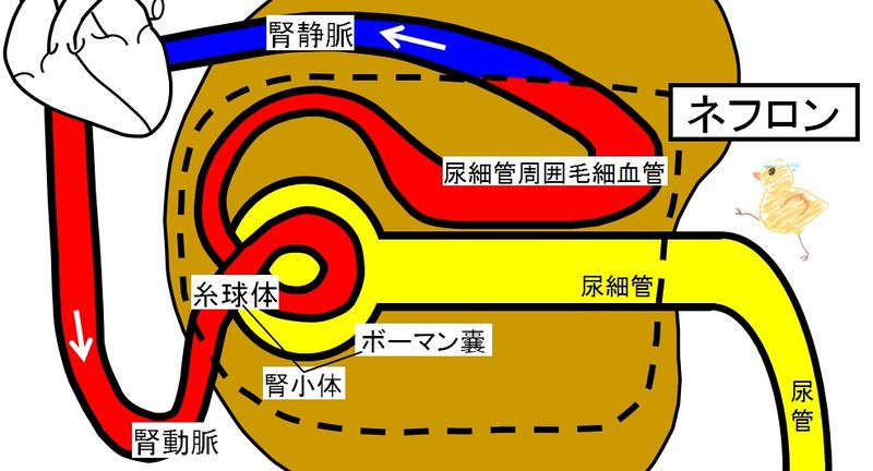ファイル:03748.jpg