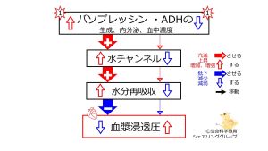 /wiki/images/thumb/f/fc/ADHeffectSummaryBasic-JPN.jpg/300px-ADHeffectSummaryBasic-JPN.jpg