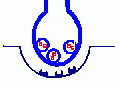 00961.gif