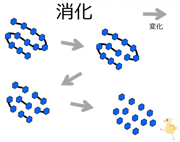 ファイル:02619.jpg