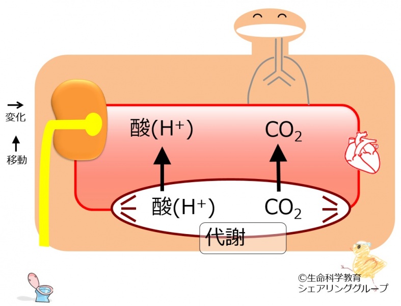 ファイル:04374.jpg