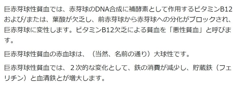 ファイル:血液・骨髄・リンパ系赤血球貧血巨赤芽球性貧血共通.jpg