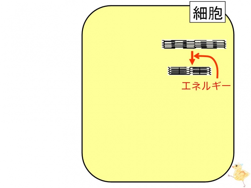 ファイル:01403.jpg