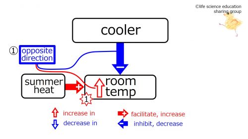 CoolerSummerBeforeFeedback-Eng.jpg